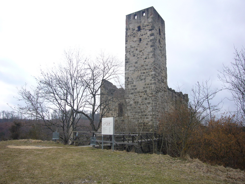 P1030721
