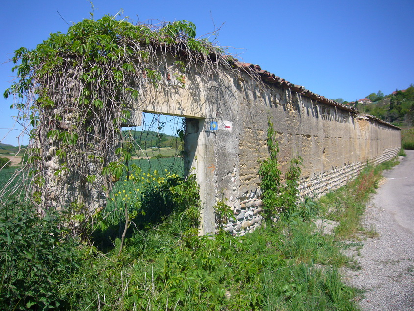 P1080355