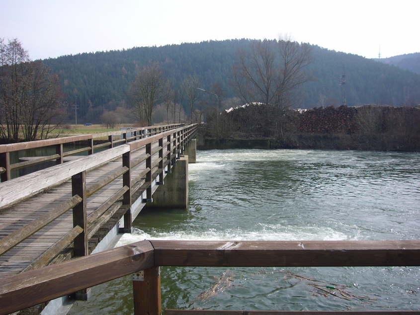 P1010508