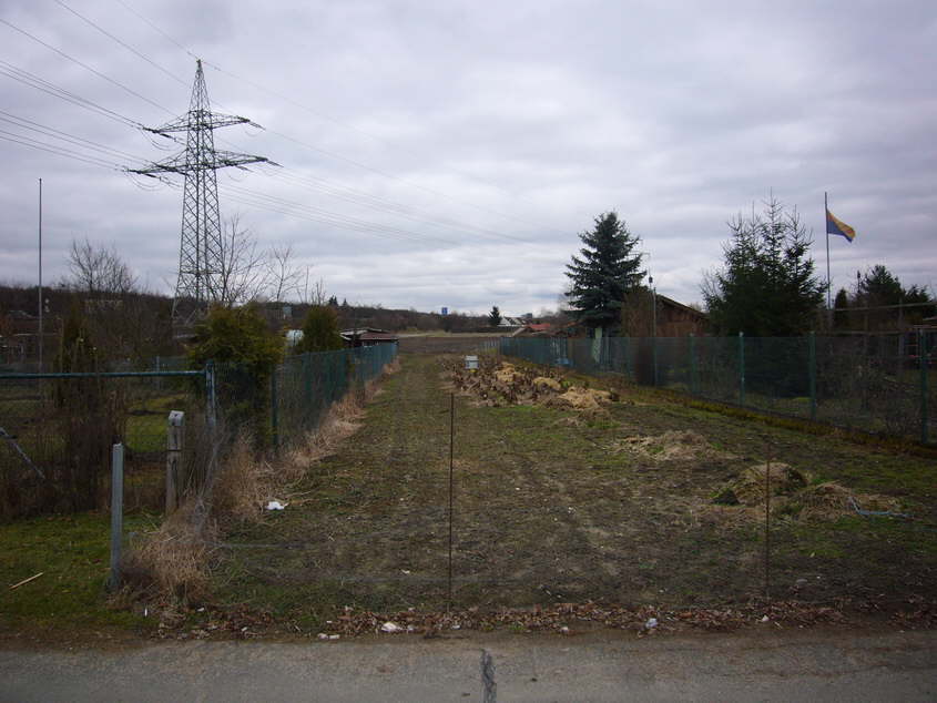 P1010799