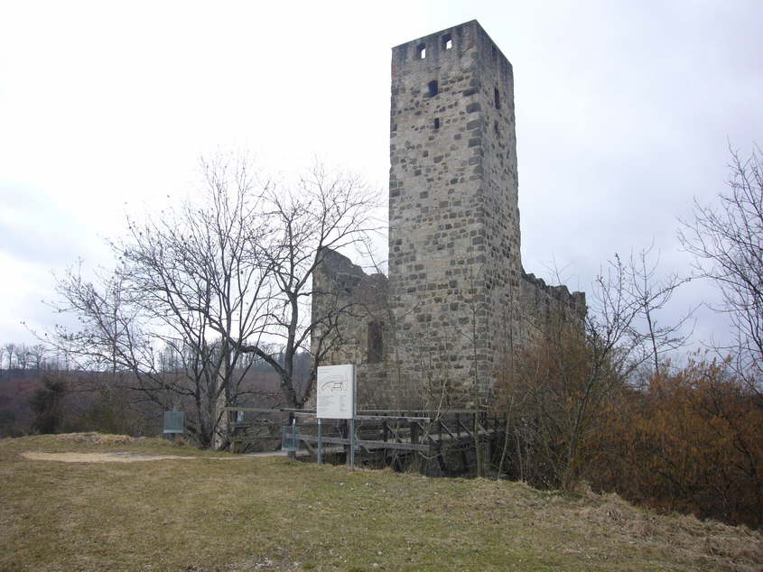 P1030721