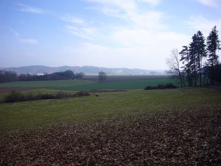 P1040498