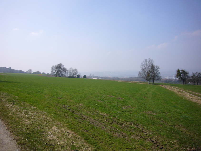 P1040631