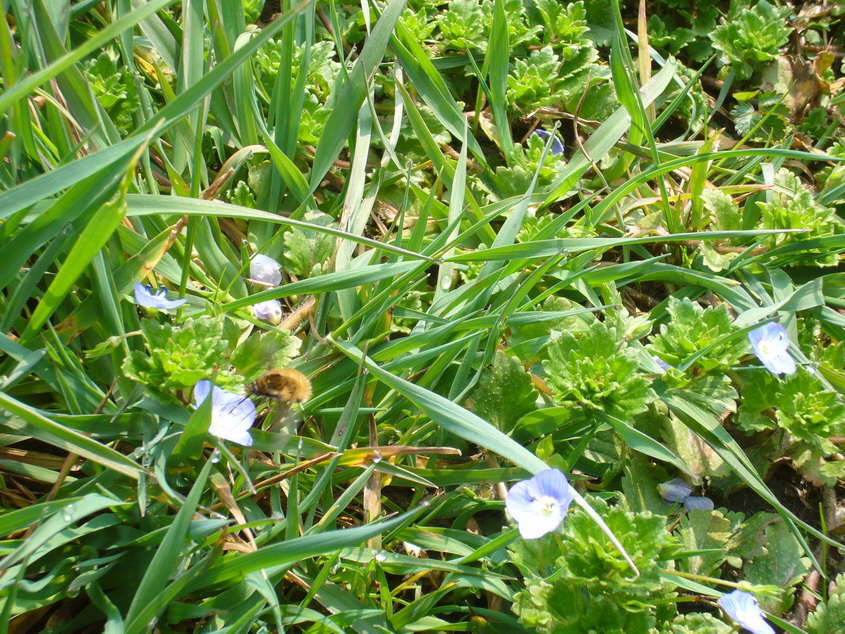 P1040857