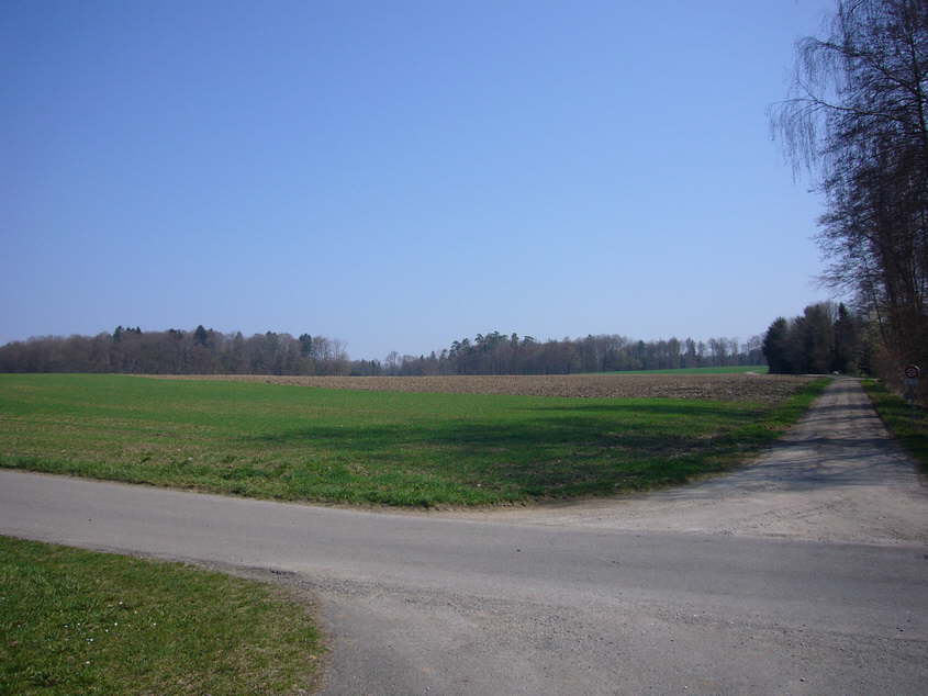 P1050133