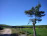P1090546