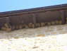 P1130919