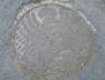 P1190694_B