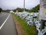 P1200040_B