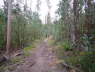 P1200364_B