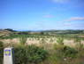 P1200808_B